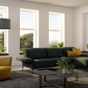 barbuda-rivoli-forest-2-thumb