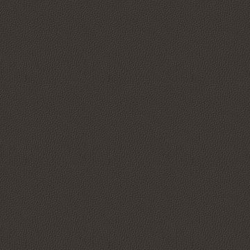 Montana Carbon Montana Carbon