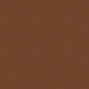 Montana Cognac Montana Cognac