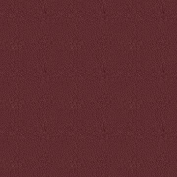 Montana Passion Montana Passion