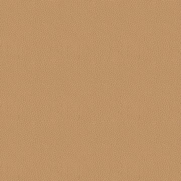 Montana Sahara Montana Sahara
