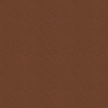Trentino Cognac Trentino Cognac