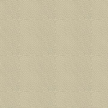 Trentino Offwhite Trentino Offwhite