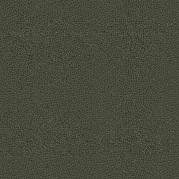 Trentino Thyme Trentino Thyme