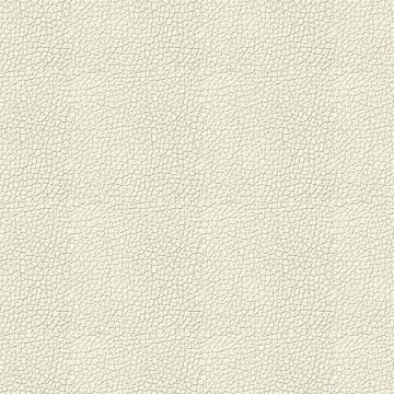 Trentino White Trentino White