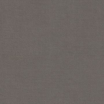 Camino Carbon Camino Carbon