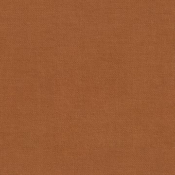 Camino Cognac Camino Cognac