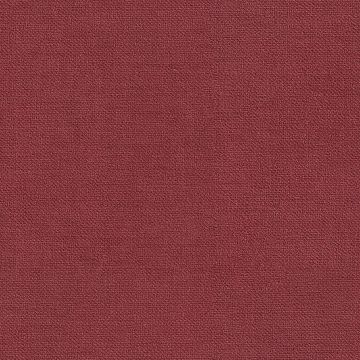 Camino Passion Camino Passion