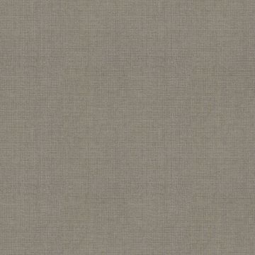 Rivano Angora Rivano Angora