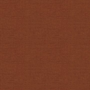 Rivano Orange Rivano Orange