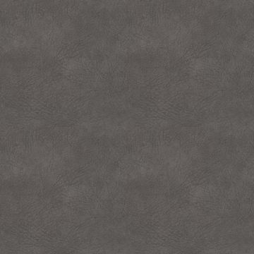 Sambia Carbon Sambia Carbon