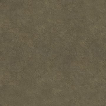 Sambia Olive Sambia Olive