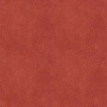 Sambia Passion Sambia Passion