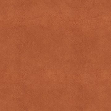 Sambia Rost Sambia Rost