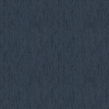 Tonique Blue Tonique Blue