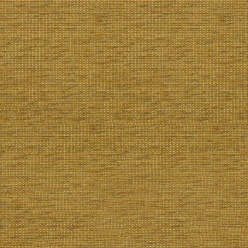 Tonique Gold Tonique Gold