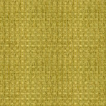 Tonique Olive Tonique Olive