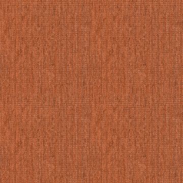 Tonique Orange Tonique Orange