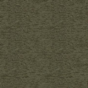 Tonique Thyme Tonique Thyme