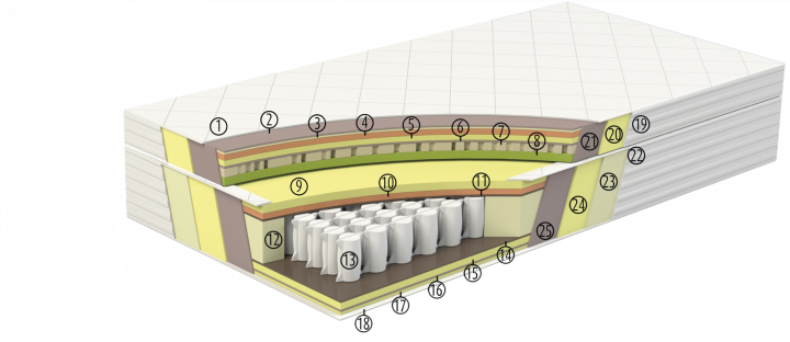 elite-latex-przekroj