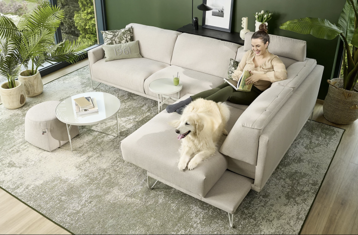 sni-mek-obrazovky-2024-12-02-v-14-49-27