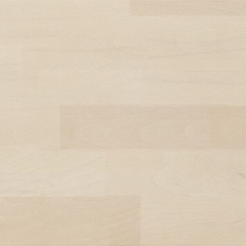 bílá transparentní