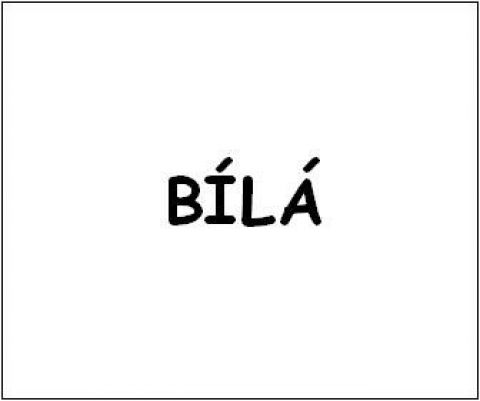 bílá