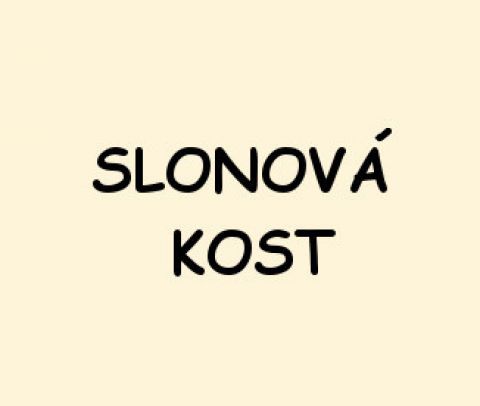 slonová kost