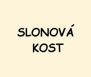 slonová kost